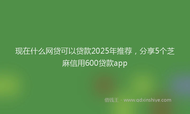 现在什么网贷可以贷款2025年推荐，分享5个芝麻信用600贷款app