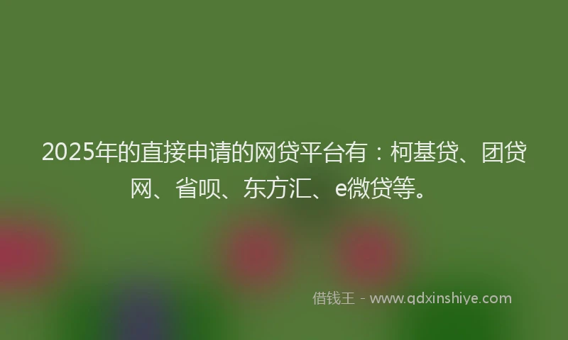 2025年的直接申请的网贷平台有：柯基贷、团贷网、省呗、东方汇、e微贷等。