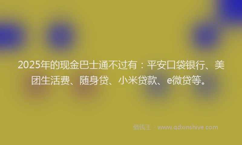 2025年的现金巴士通不过有：平安口袋银行、美团生活费、随身贷、小米贷款、e微贷等。