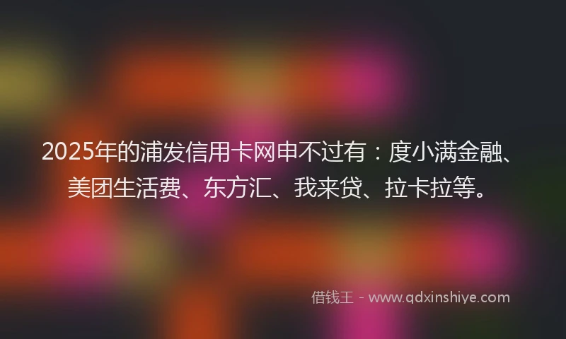 2025年的浦发信用卡网申不过有：度小满金融、美团生活费、东方汇、我来贷、拉卡拉等。