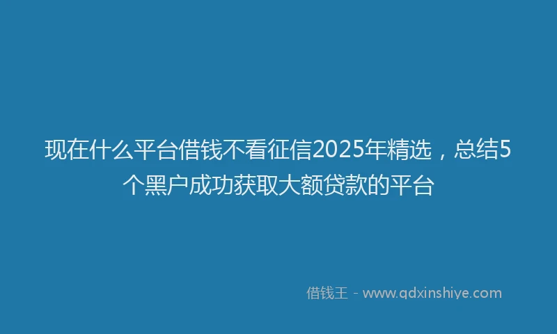 现在什么平台借钱不看征信2025年精选，总结5个黑户成功获取大额贷款的平台