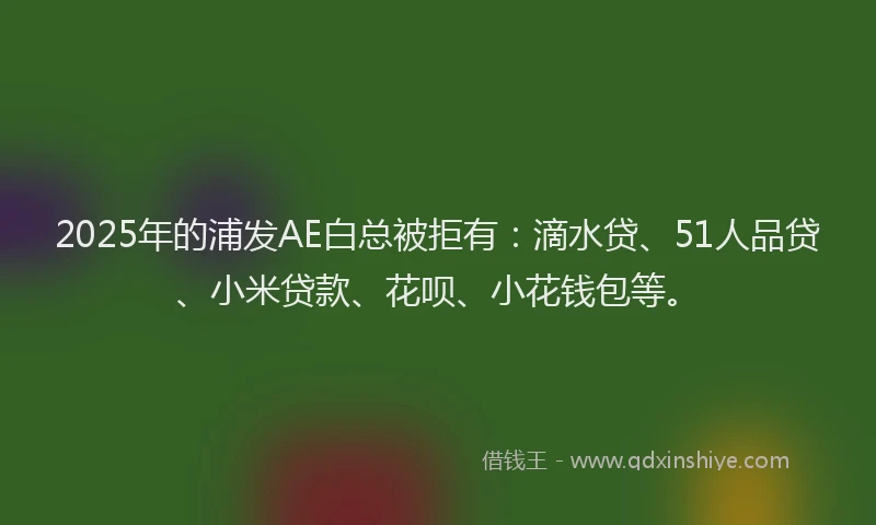 2025年的浦发AE白总被拒有：滴水贷、51人品贷、小米贷款、花呗、小花钱包等。