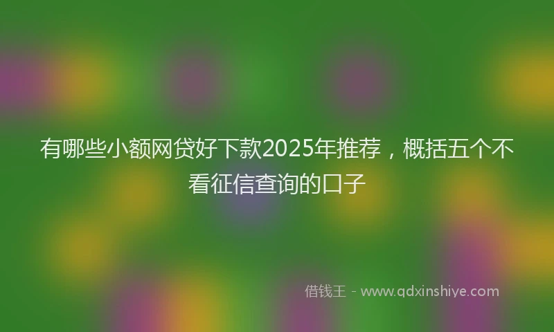 有哪些小额网贷好下款2025年推荐，概括五个不看征信查询的口子