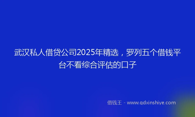 武汉私人借贷公司2025年精选，罗列五个借钱平台不看综合评估的口子