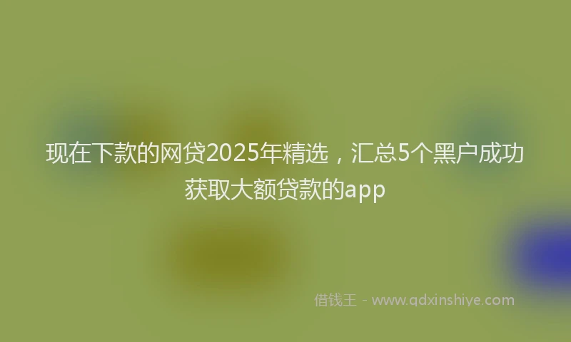 现在下款的网贷2025年精选，汇总5个黑户成功获取大额贷款的app