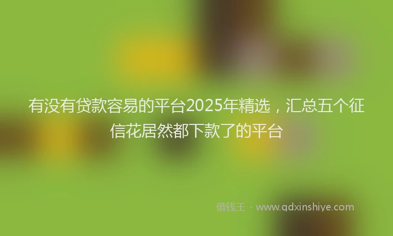 有没有贷款容易的平台2025年精选，汇总五个征信花居然都下款了的平台