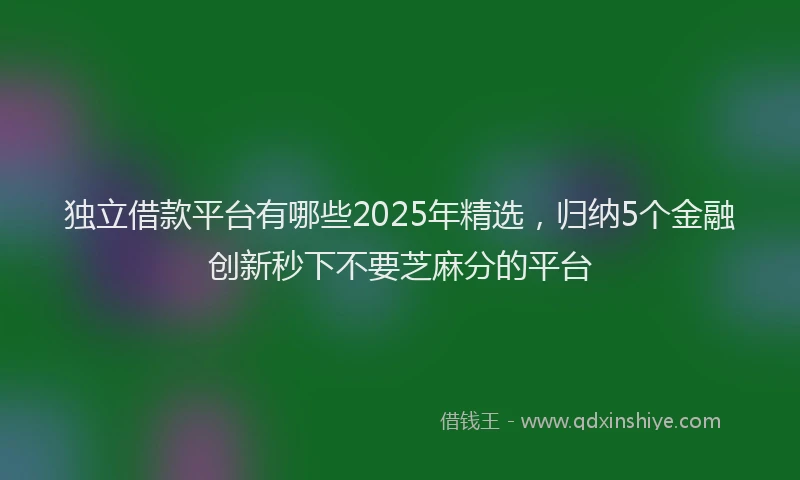 独立借款平台有哪些2025年精选，归纳5个金融创新秒下不要芝麻分的平台