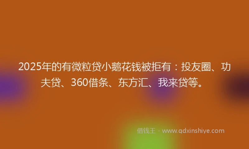 2025年的有微粒贷小鹅花钱被拒有：投友圈、功夫贷、360借条、东方汇、我来贷等。