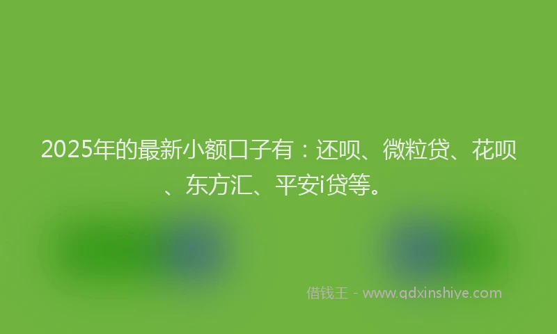 2025年的最新小额口子有：还呗、微粒贷、花呗、东方汇、平安i贷等。