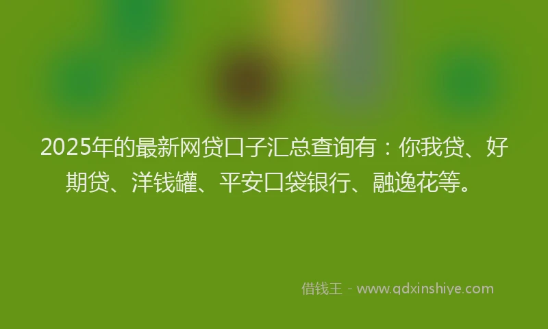 2025年的最新网贷口子汇总查询有：你我贷、好期贷、洋钱罐、平安口袋银行、融逸花等。