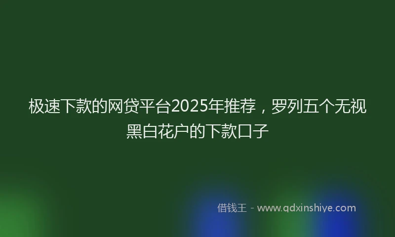 极速下款的网贷平台2025年推荐，罗列五个无视黑白花户的下款口子