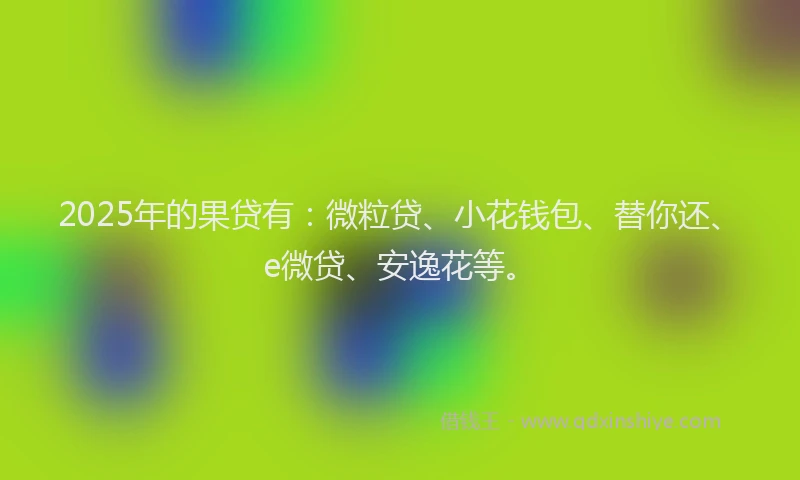 2025年的果贷有：微粒贷、小花钱包、替你还、e微贷、安逸花等。