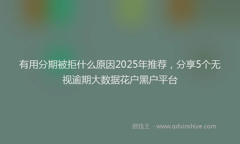 有用分期被拒什么原因2025年推荐，分享5个无视逾期大数据花户黑户平台