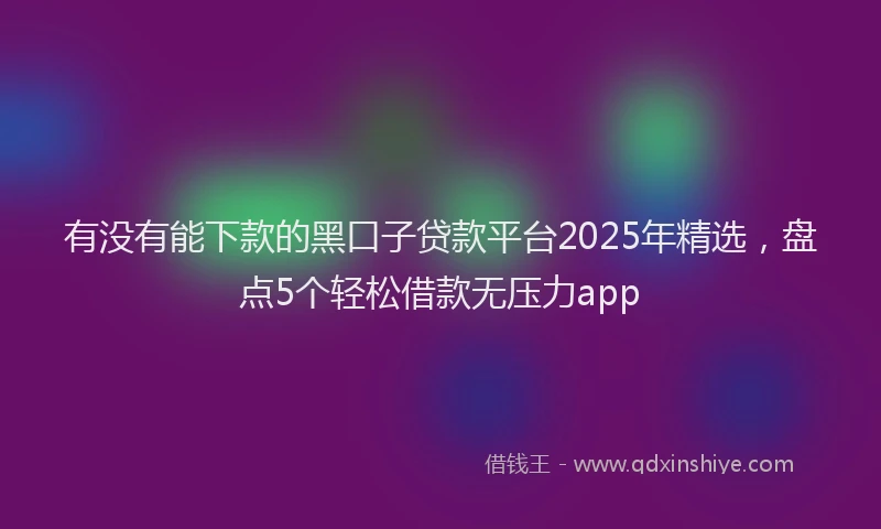 有没有能下款的黑口子贷款平台2025年精选，盘点5个轻松借款无压力app