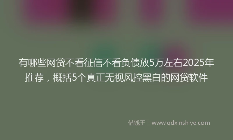 有哪些网贷不看征信不看负债放5万左右2025年推荐，概括5个真正无视风控黑白的网贷软件