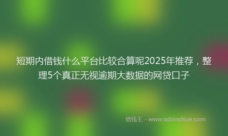 短期内借钱什么平台比较合算呢2025年推荐，整理5个真正无视逾期大数据的网贷口子