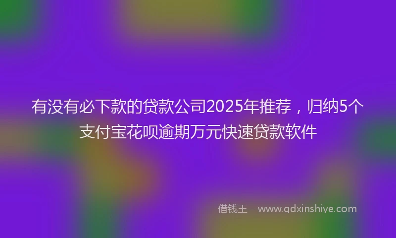 有没有必下款的贷款公司2025年推荐，归纳5个支付宝花呗逾期万元快速贷款软件