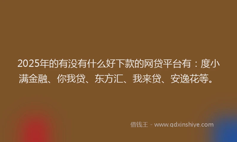 2025年的有没有什么好下款的网贷平台有：度小满金融、你我贷、东方汇、我来贷、安逸花等。