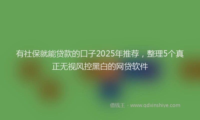 有社保就能贷款的口子2025年推荐，整理5个真正无视风控黑白的网贷软件