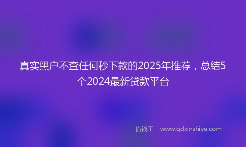 真实黑户不查任何秒下款的2025年推荐，总结5个2024最新贷款平台
