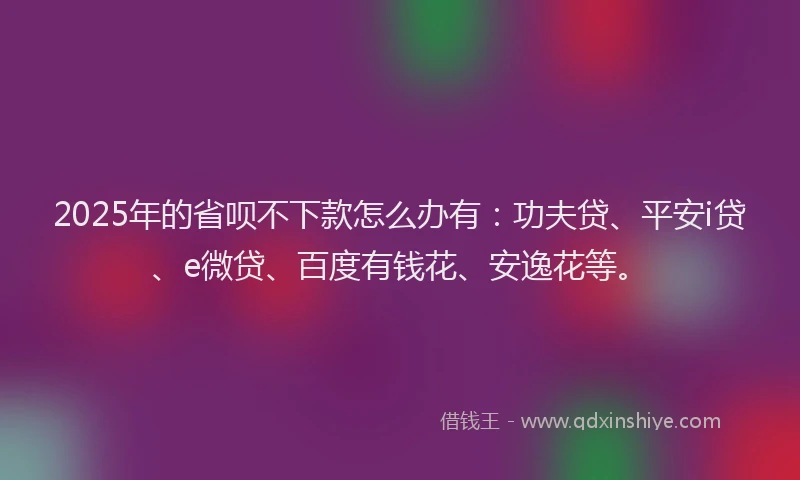 2025年的省呗不下款怎么办有：功夫贷、平安i贷、e微贷、百度有钱花、安逸花等。