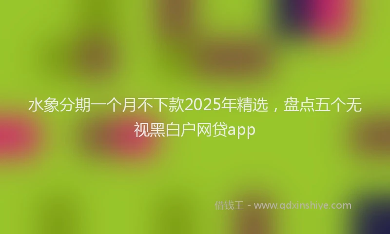 水象分期一个月不下款2025年精选，盘点五个无视黑白户网贷app