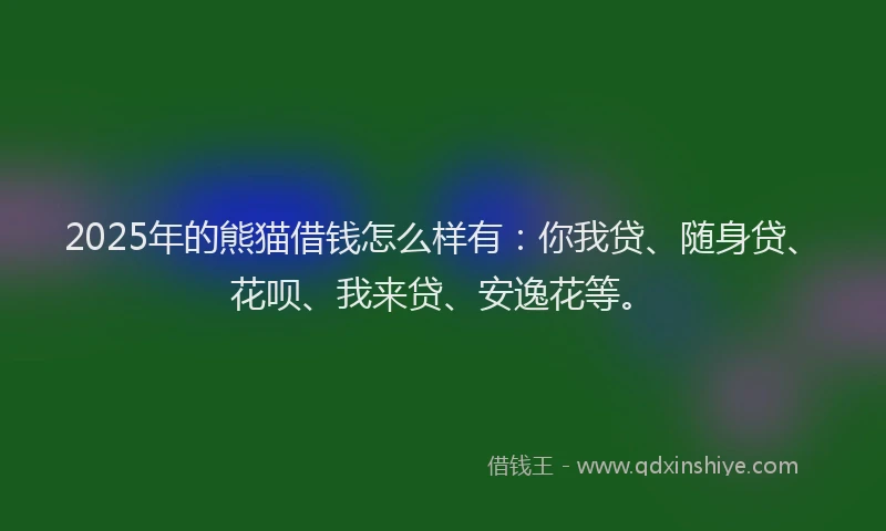 2025年的熊猫借钱怎么样有：你我贷、随身贷、花呗、我来贷、安逸花等。