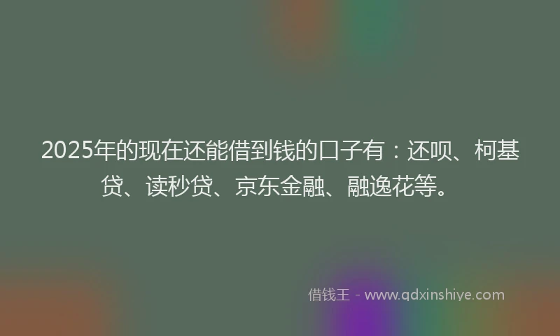 2025年的现在还能借到钱的口子有：还呗、柯基贷、读秒贷、京东金融、融逸花等。