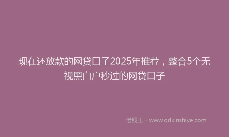 现在还放款的网贷口子2025年推荐，整合5个无视黑白户秒过的网贷口子