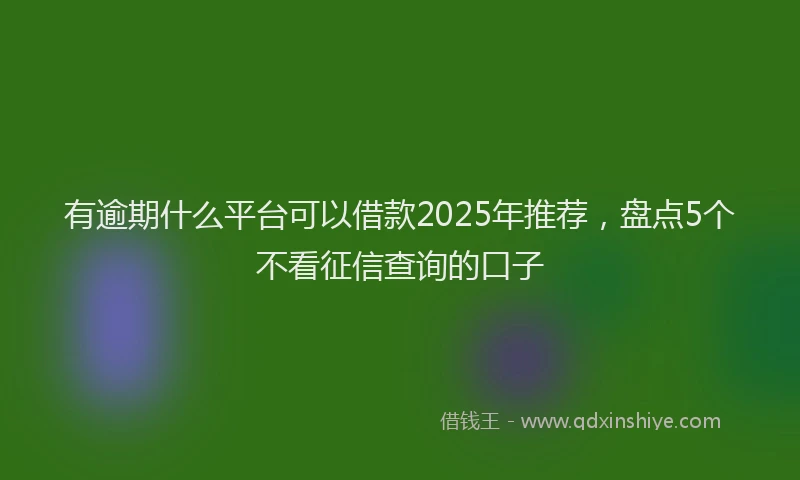 有逾期什么平台可以借款2025年推荐，盘点5个不看征信查询的口子