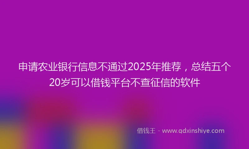 申请农业银行信息不通过2025年推荐，总结五个20岁可以借钱平台不查征信的软件