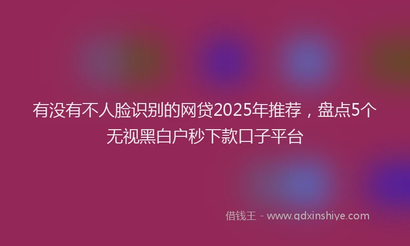 有没有不人脸识别的网贷2025年推荐，盘点5个无视黑白户秒下款口子平台