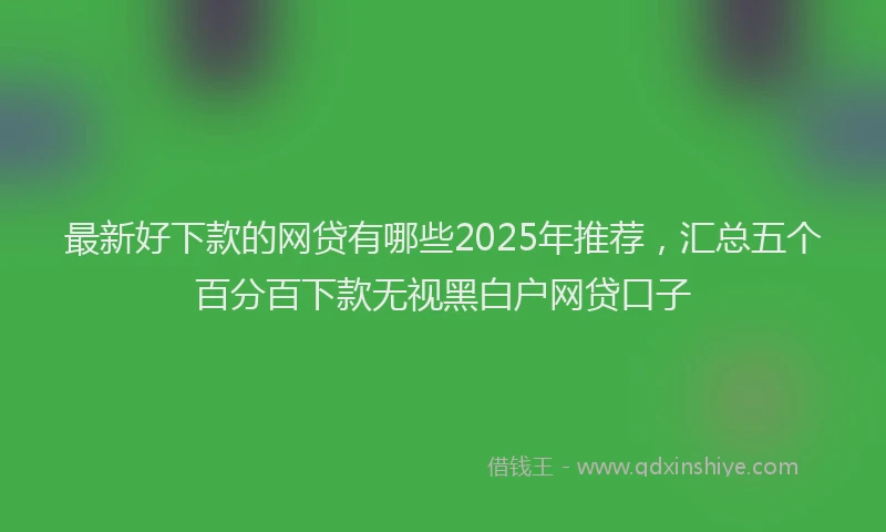 最新好下款的网贷有哪些2025年推荐，汇总五个百分百下款无视黑白户网贷口子
