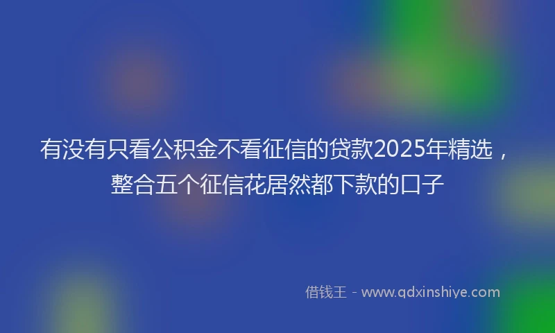 有没有只看公积金不看征信的贷款2025年精选，整合五个征信花居然都下款的口子
