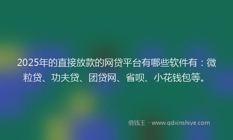 2025年的直接放款的网贷平台有哪些软件有：微粒贷、功夫贷、团贷网、省呗、小花钱包等。