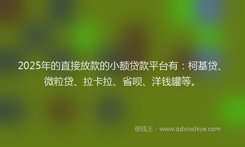 2025年的直接放款的小额贷款平台有：柯基贷、微粒贷、拉卡拉、省呗、洋钱罐等。