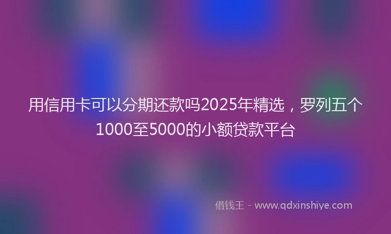 用信用卡可以分期还款吗2025年精选，罗列五个1000至5000的小额贷款平台