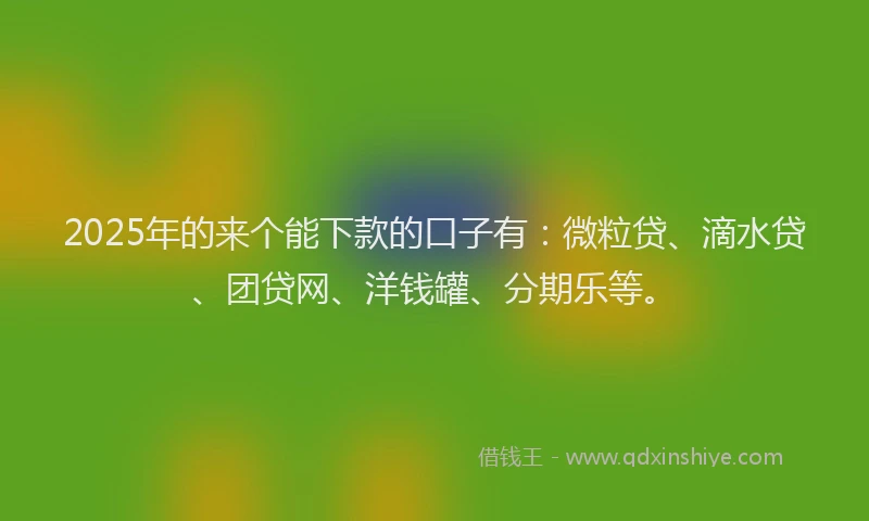 2025年的来个能下款的口子有：微粒贷、滴水贷、团贷网、洋钱罐、分期乐等。