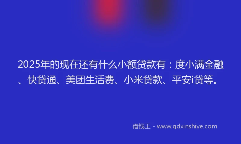 2025年的现在还有什么小额贷款有：度小满金融、快贷通、美团生活费、小米贷款、平安i贷等。