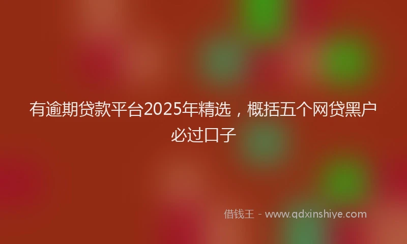 有逾期贷款平台2025年精选，概括五个网贷黑户必过口子