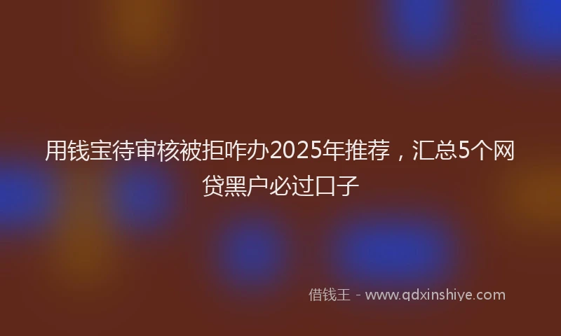 用钱宝待审核被拒咋办2025年推荐，汇总5个网贷黑户必过口子