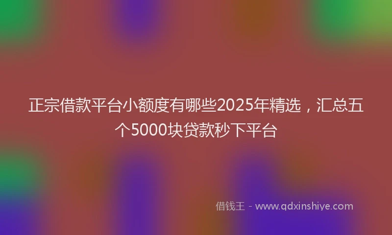 正宗借款平台小额度有哪些2025年精选，汇总五个5000块贷款秒下平台