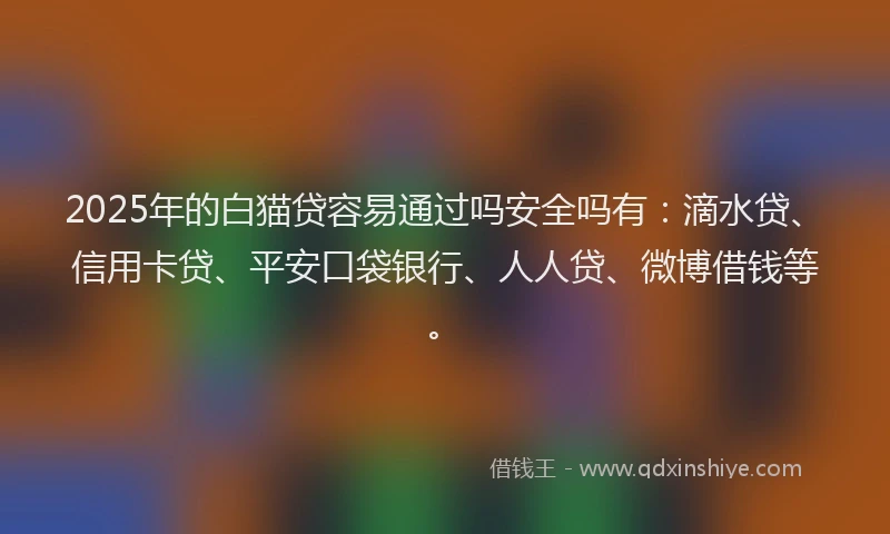 2025年的白猫贷容易通过吗安全吗有：滴水贷、信用卡贷、平安口袋银行、人人贷、微博借钱等。