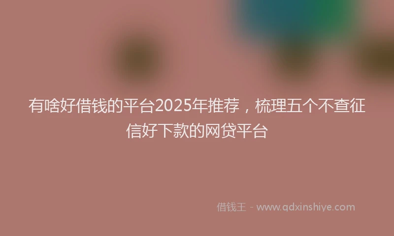 有啥好借钱的平台2025年推荐，梳理五个不查征信好下款的网贷平台