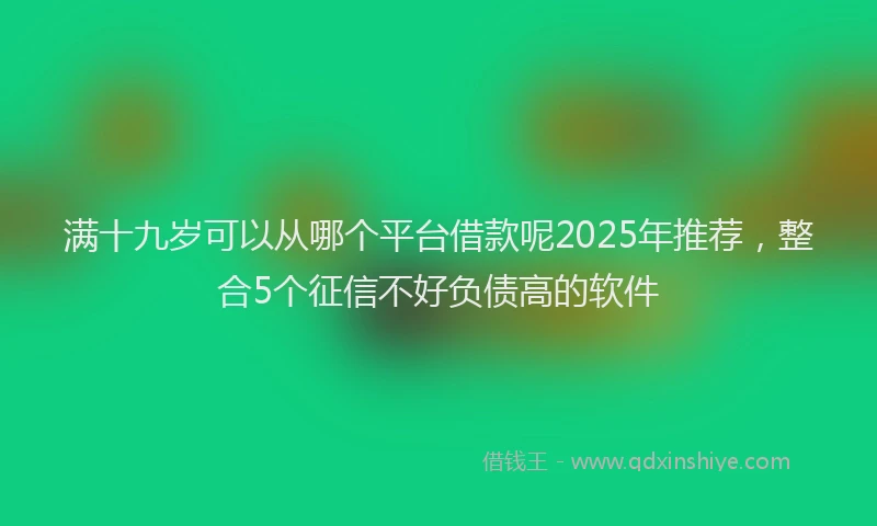 满十九岁可以从哪个平台借款呢2025年推荐，整合5个征信不好负债高的软件
