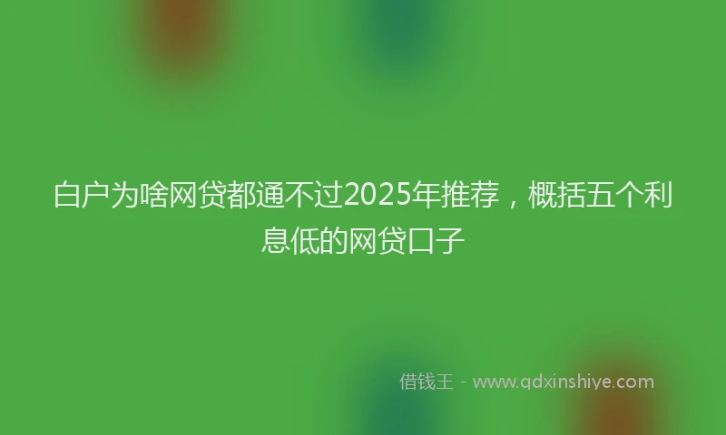 白户为啥网贷都通不过2025年推荐，概括五个利息低的网贷口子