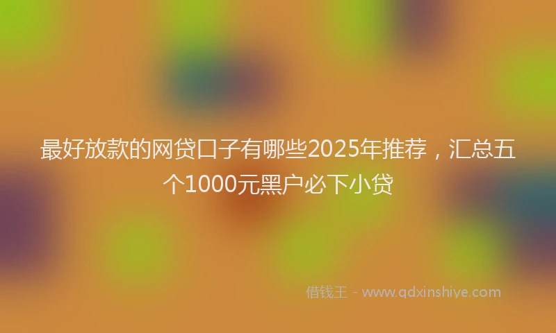 最好放款的网贷口子有哪些2025年推荐，汇总五个1000元黑户必下小贷