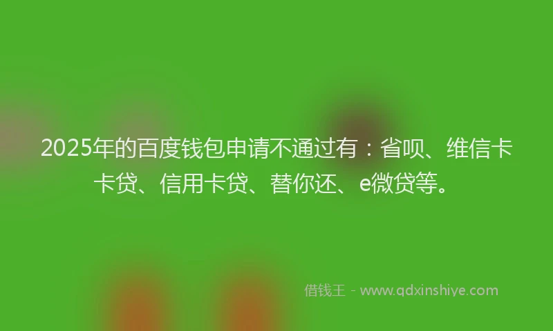 2025年的百度钱包申请不通过有：省呗、维信卡卡贷、信用卡贷、替你还、e微贷等。