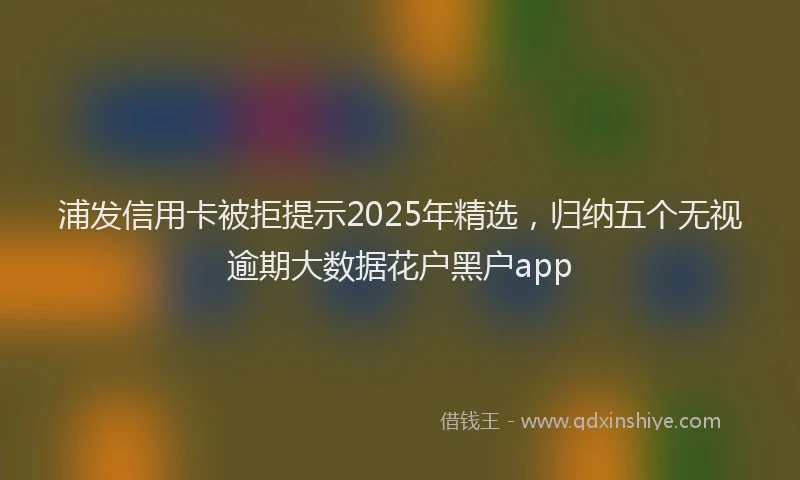 浦发信用卡被拒提示2025年精选，归纳五个无视逾期大数据花户黑户app
