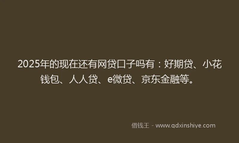 2025年的现在还有网贷口子吗有：好期贷、小花钱包、人人贷、e微贷、京东金融等。